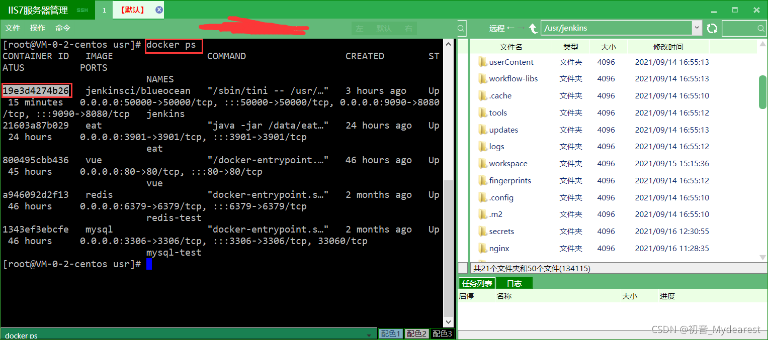 在这里插入图片描述