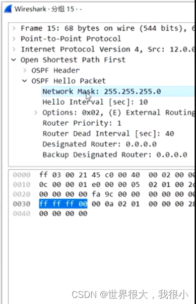 Ospf 中的dbd Csdn