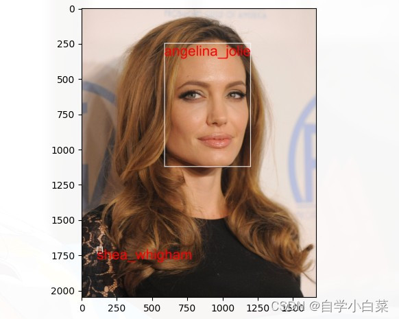 快速上手项目1：基于FaceNet的人脸识别项目