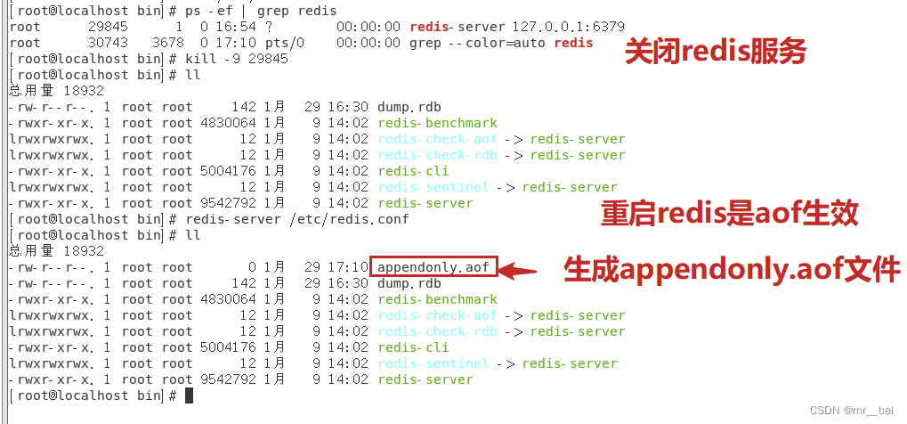 （六）redis持久化操作（RDBAOF）