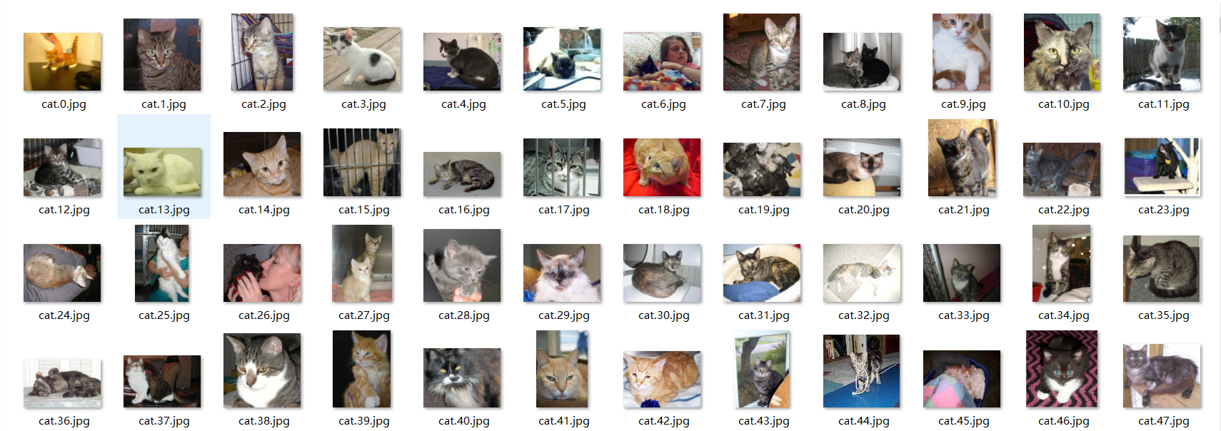 train文件下的图像