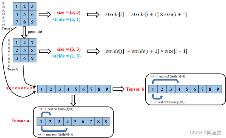 pytorch函数reshape()和view()的区别及张量连续性