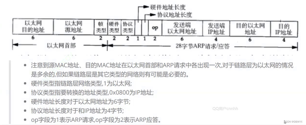 mac帧 arp