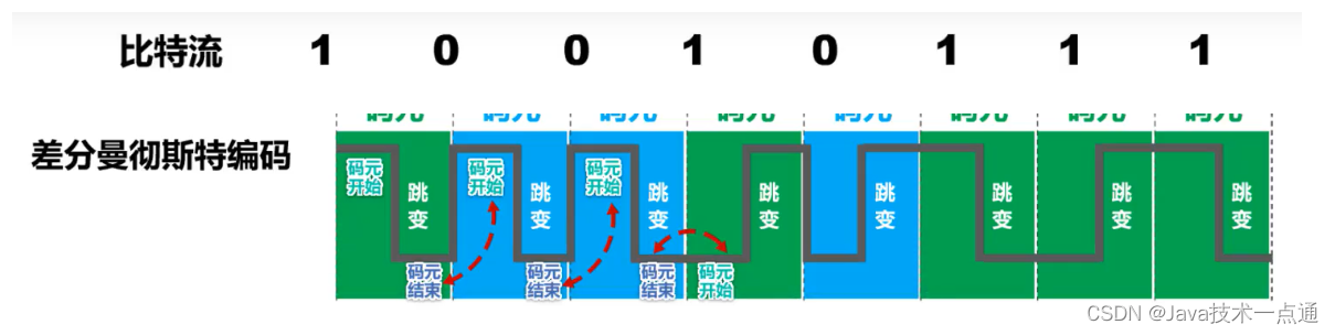 [外链图片转存失败,源站可能有防盗链机制,建议将图片保存下来直接上传(img-5tRe2IVo-1676004439638)(计算机网络第二章（物理层）.assets/image-20201008195235561.png)]