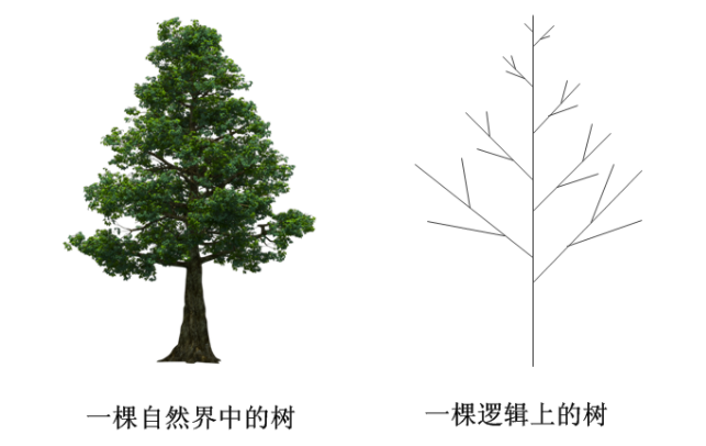 【树】数据结构——树和二叉树的概念&笔记_root 下面是child,child下面是什么-CSDN博客