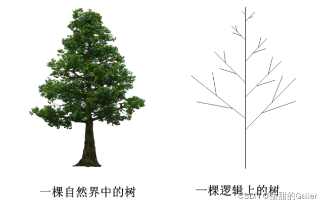 【树】数据结构——树和二叉树的概念&笔记_root 下面是child,child下面是什么-CSDN博客