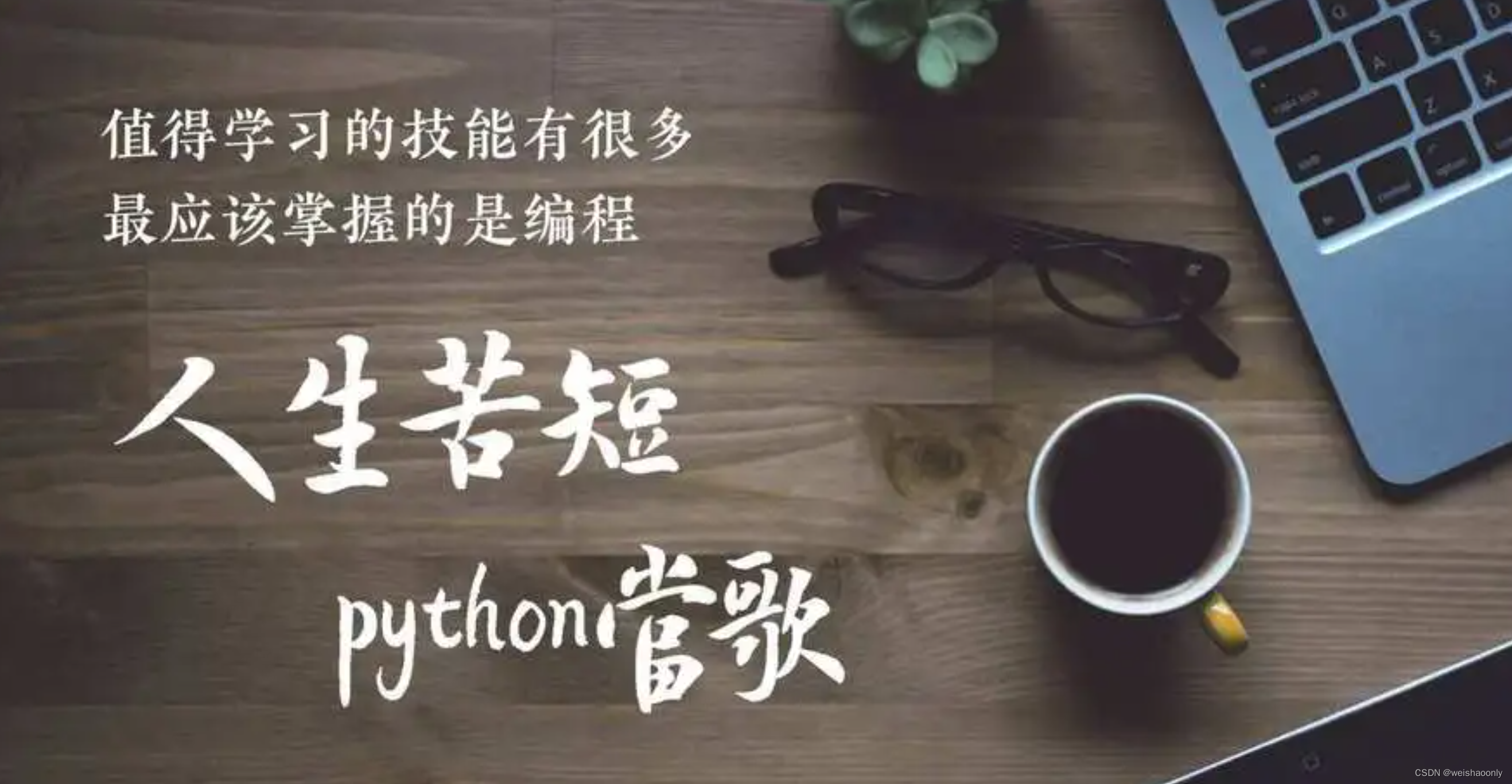 【Python 私有变量和私有方法】零基础也能轻松掌握的学习路线与参考资料