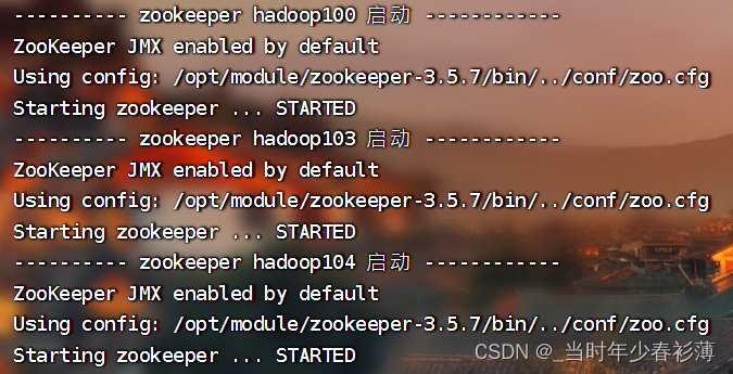 Zookeeper集群规划