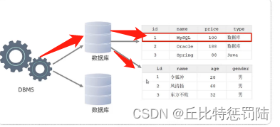 【现在努力还不晚】--MySQL数据库的数据模型