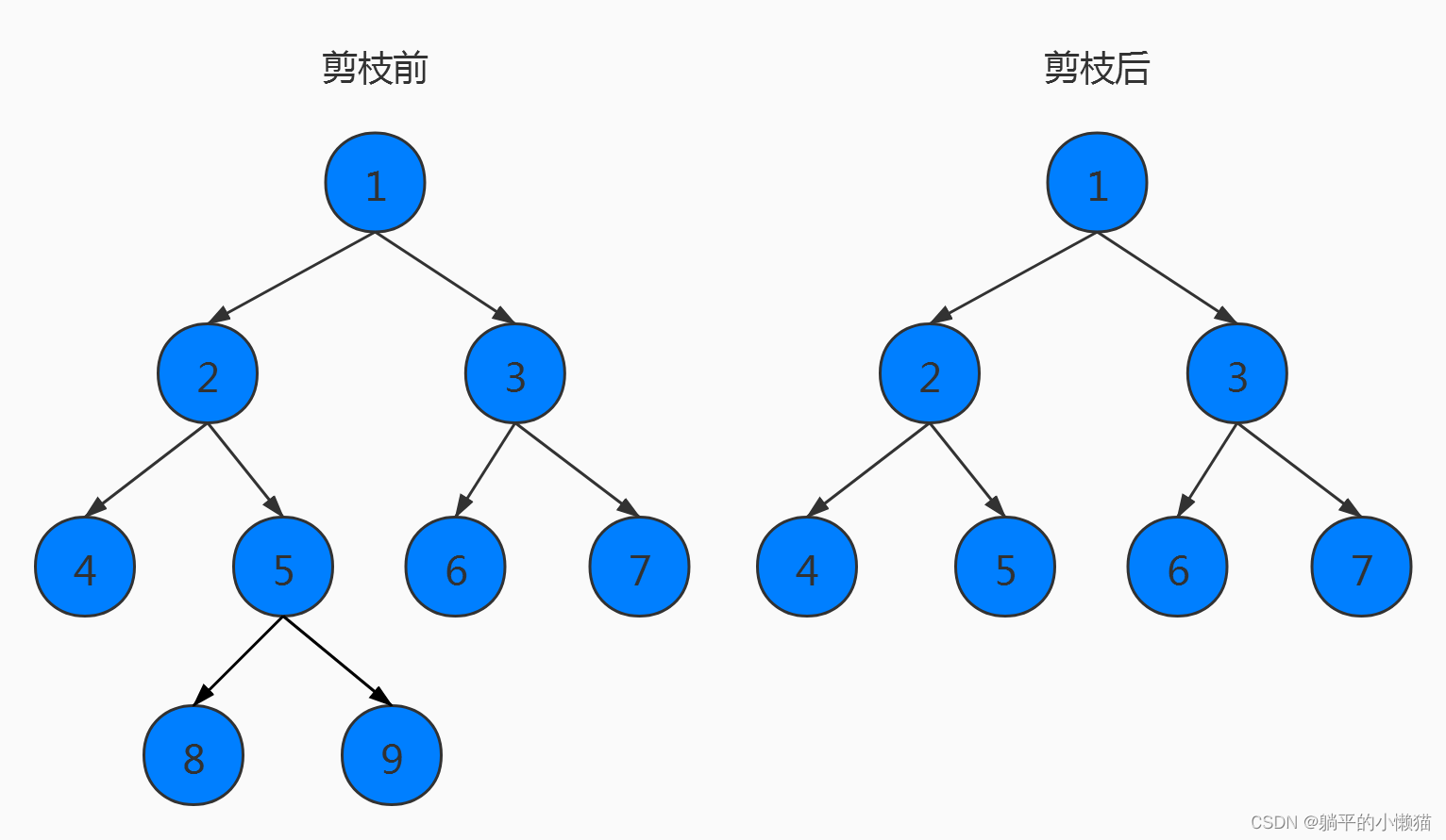 数据结构与算法之剪枝算法-CSDN博客