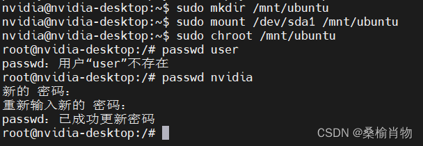 重置Jetson设备的Ubuntu密码：通过挂载根目录到另一个Linux系统