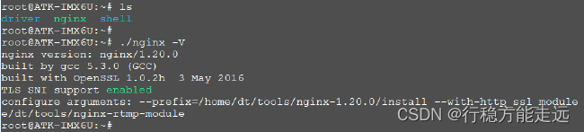 Figure 34.3.1 View nginx version information