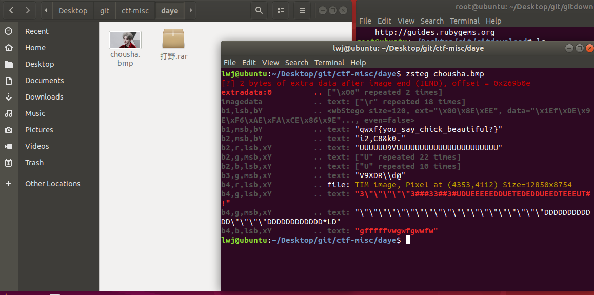 攻防世界 Misc 打野 ——zsteg工具安装使用_zsteg安装CSDN博客