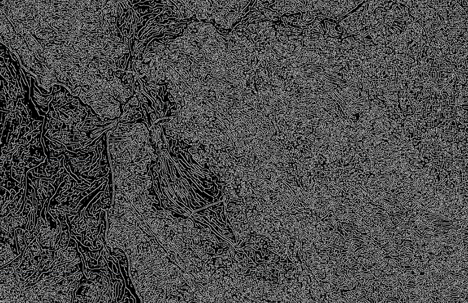 边界识别后的效果