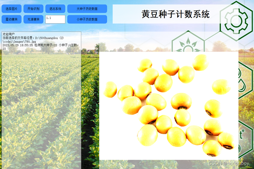 基于Python图像的作物种子数统计算法设计与应用（源码+文档+演示视频）