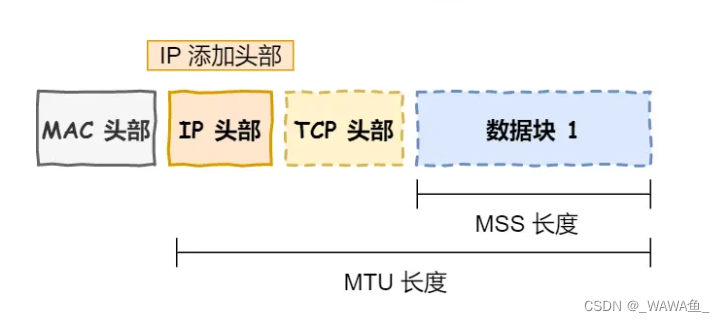 计算机网络MTU和MSS的区别