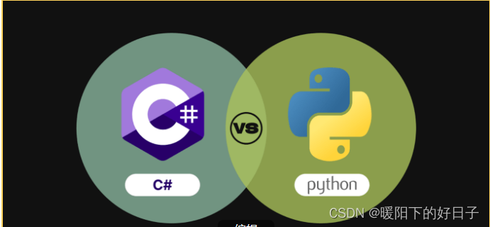 Python vs C#：首先学习哪种编程语言最好？