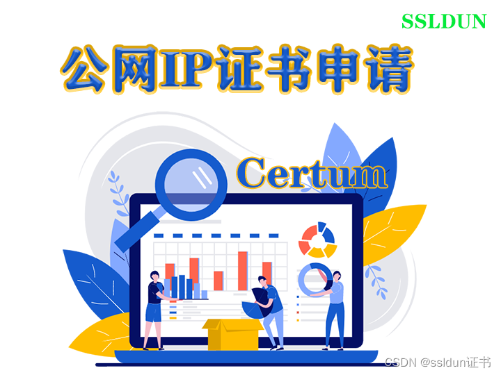 山东Certum公网IP证书申请