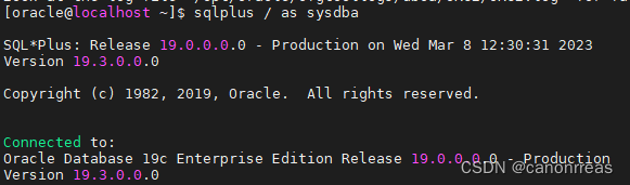 在CentOS7上静默安装Oracle19c