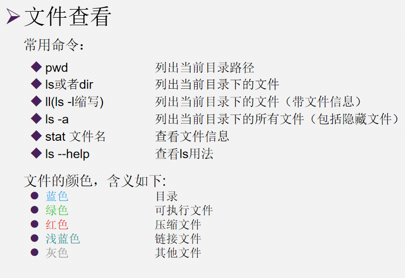 linux day02 - 编程宝典