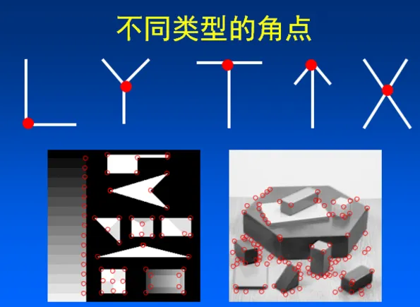 ここに画像の説明を挿入