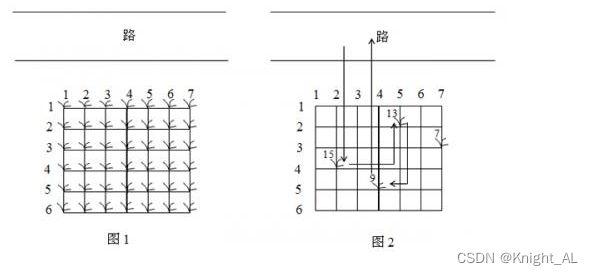 SWUST OJ 348:花生采摘