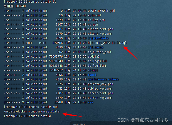 Linux上docker部署Mysql备份与恢复