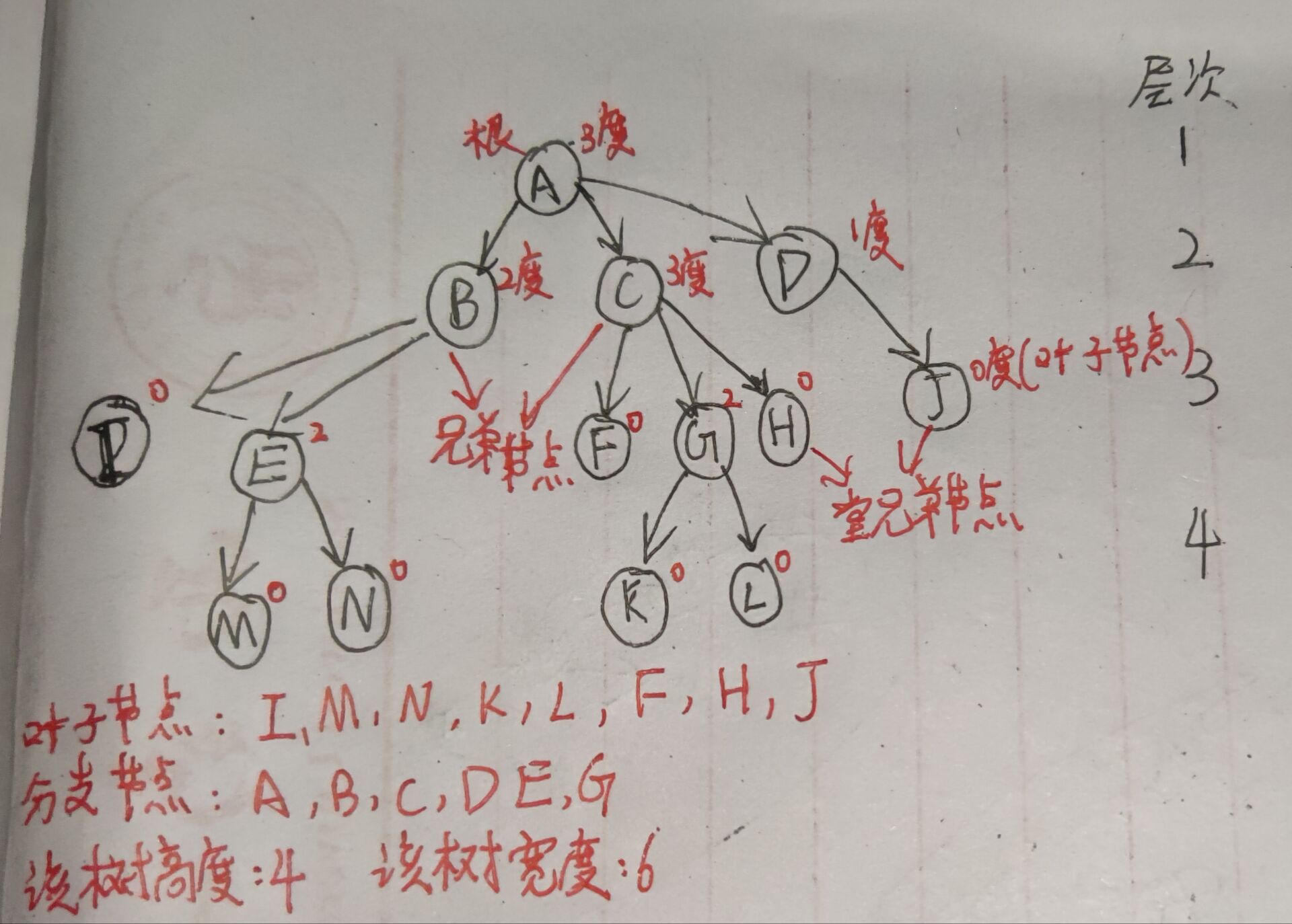 数据结构笔记（5）树的基础介绍_三叉树-CSDN博客
