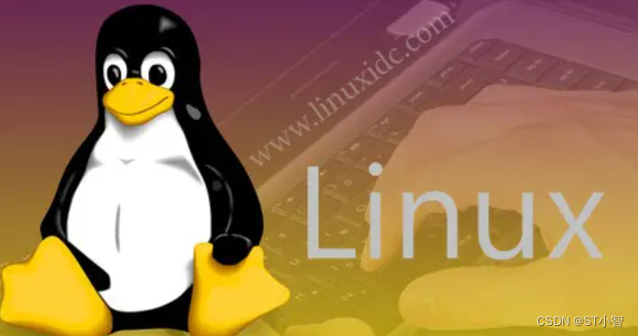 linux系统中的输入输出包含哪个_docker 开发「建议收藏」