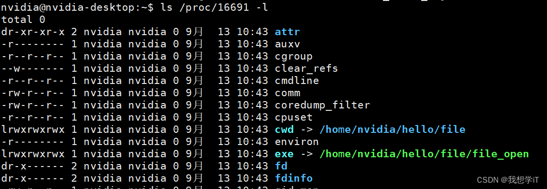Linux一切皆文件_linux的一个目录下所有文件皆可写入-CSDN博客