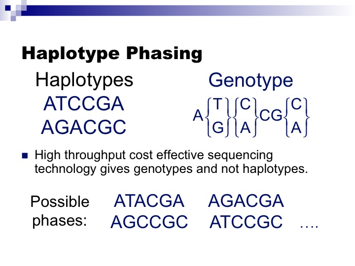 基因定相（Phasing） 与 SHAPEIT 原理简介_haplotype phasingCSDN博客