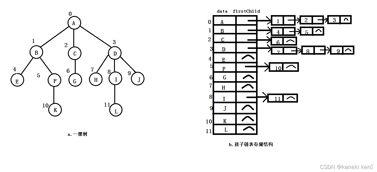 孩子链表存储结构示意图