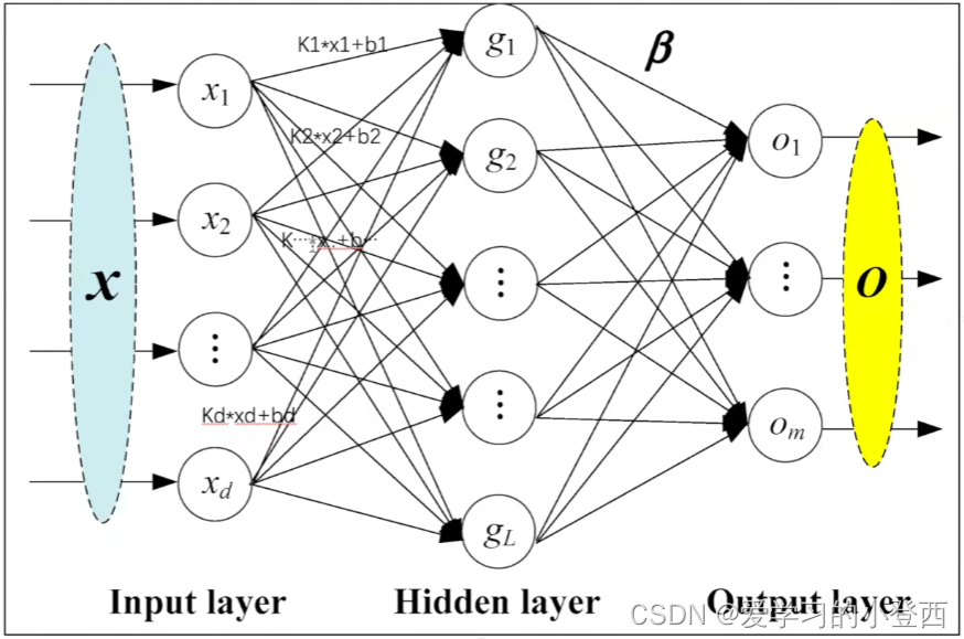 神经网络基本结构的使用（线性层及其它层的使用）_线性层结构CSDN博客