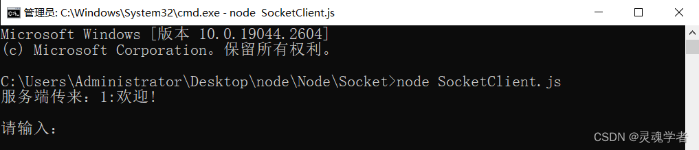 Node实现 Socket 通信