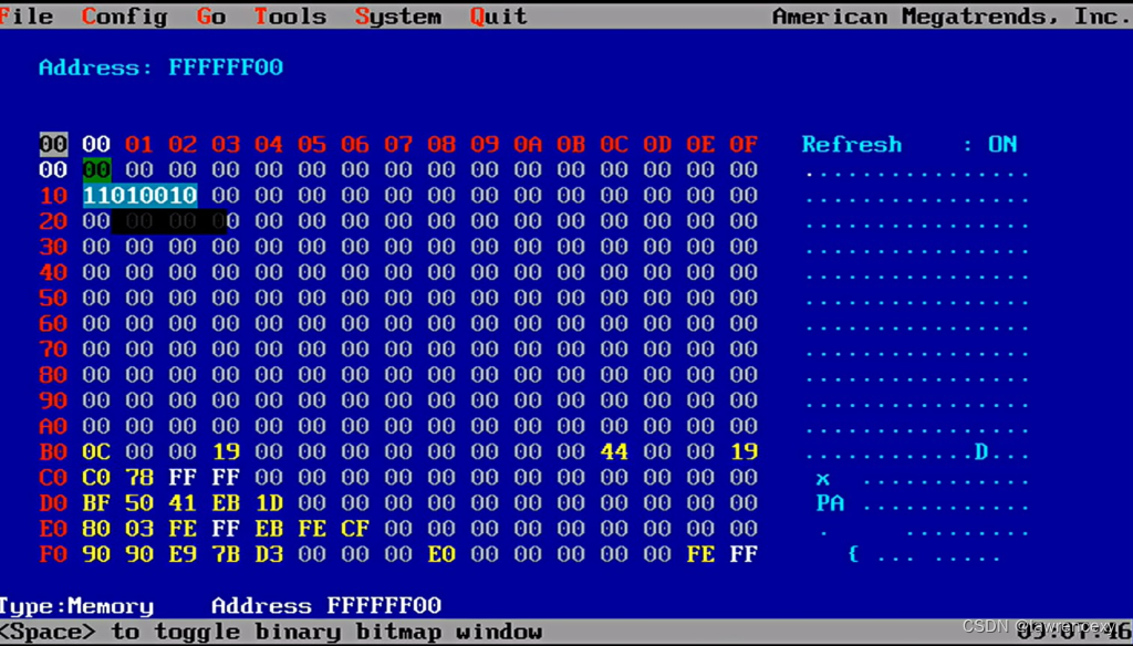 输入要查看的内存位置