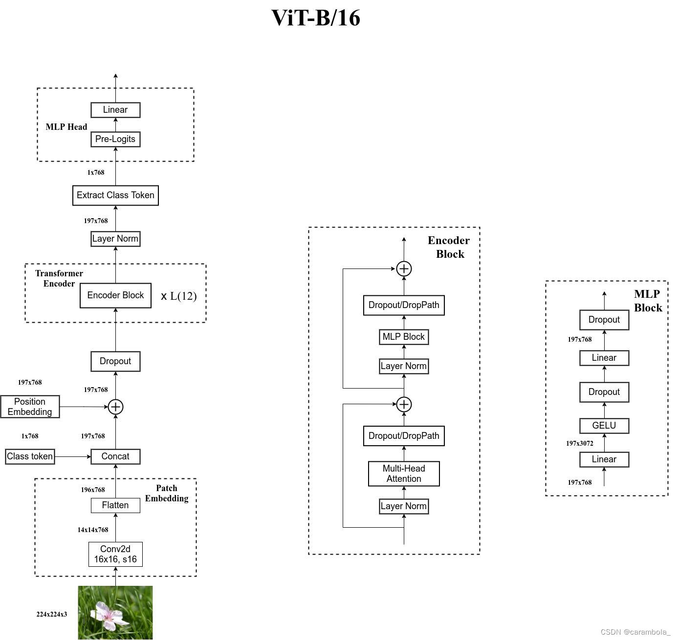 ViT-B/16模型架构