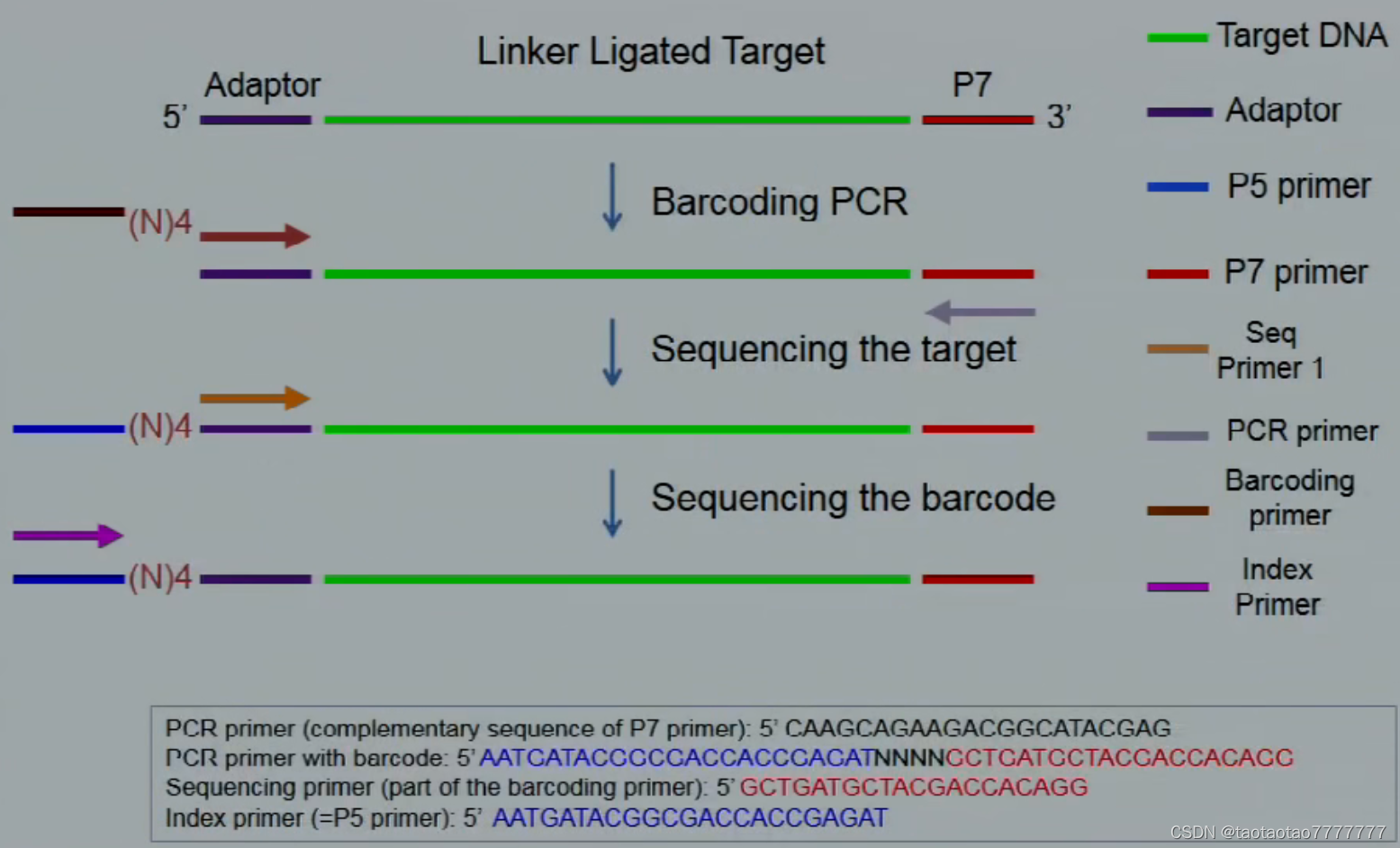 illumina 二代测序原理及过程