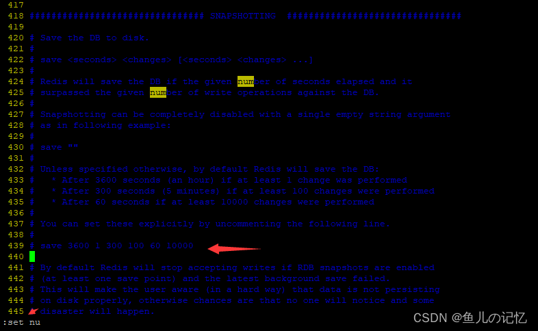 Redis 7 第四讲 数据持久化