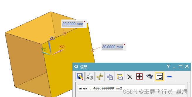 UG\NX 二次开发 获取实体面的面积，测量面积