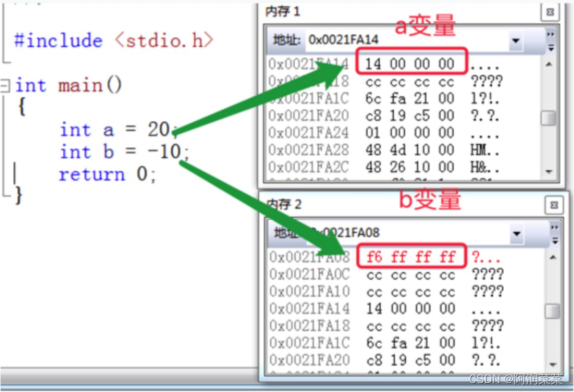 【C语言简明教程】探究整型数据在内存中的存储