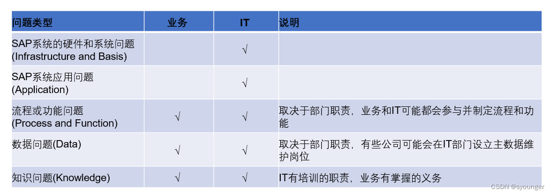 SAP到底是谁的系统？business or IT?