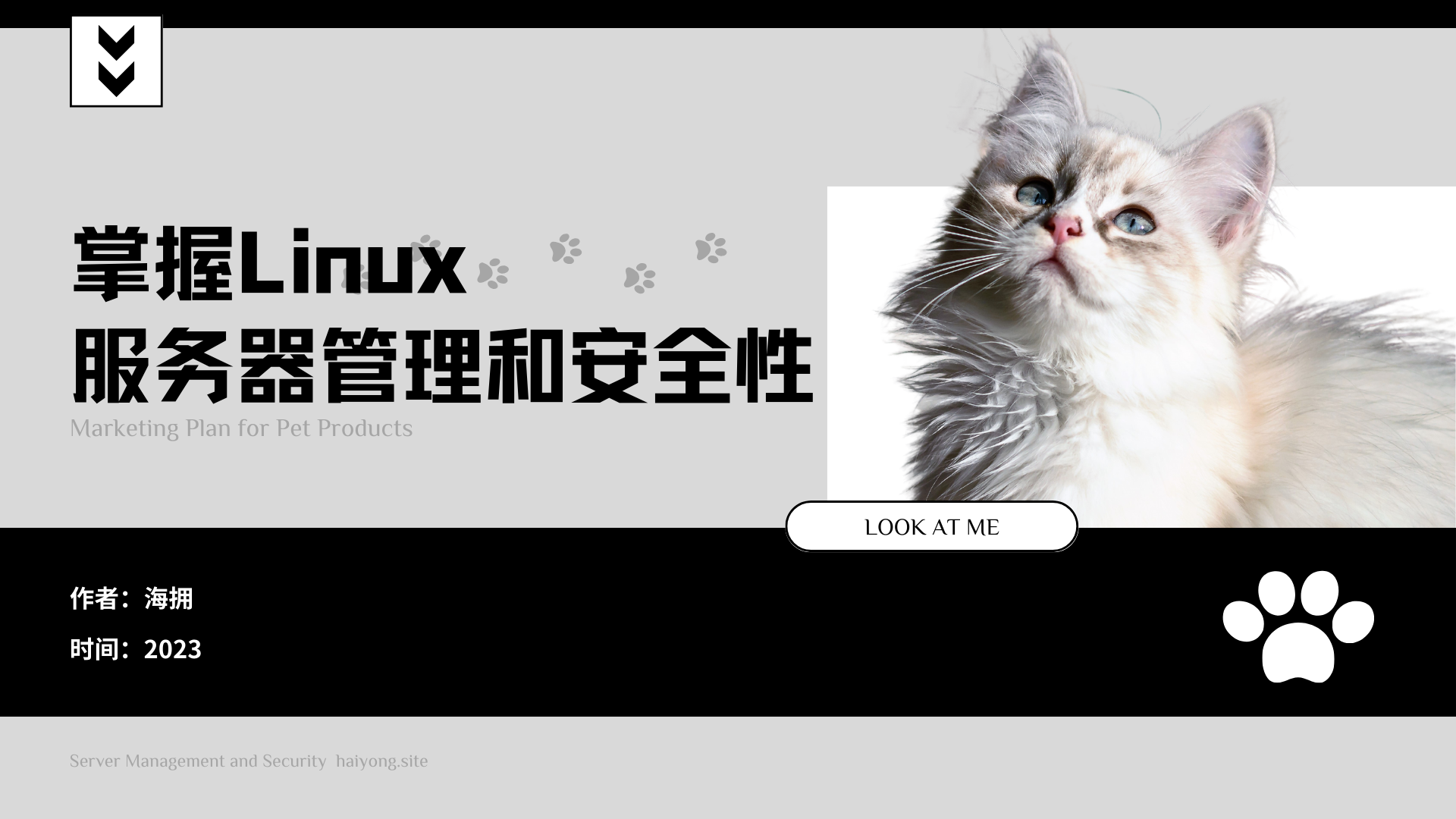 掌握Linux服务器：构建、管理和优化稳健的互联网基础设施