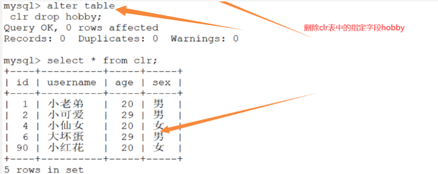 【数据库一】MySQL数据库初体验