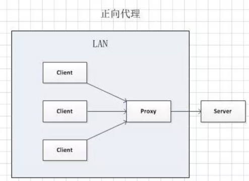 [外链图片转存失败,源站可能有防盗链机制,建议将图片保存下来直接上传(img-g1rloRJR-1686048625935)(C:\Users\86138\AppData\Roaming\Typora\typora-user-images\image-20230606133251539.png)]