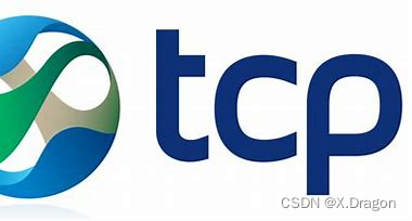 【网络编程】万字详解||一个简单TCP服务器（TCP、线程池、守护进程）源码+介绍