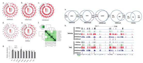 易基因 | 表观技术：染色质结构构象与DNA互作：ChIP-seq、ATAC-seq_激活的tn5插入测序接头并切割dna,这一过程被称为 ...