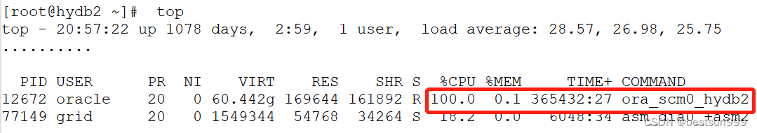 ora_scm0导致主机负载高