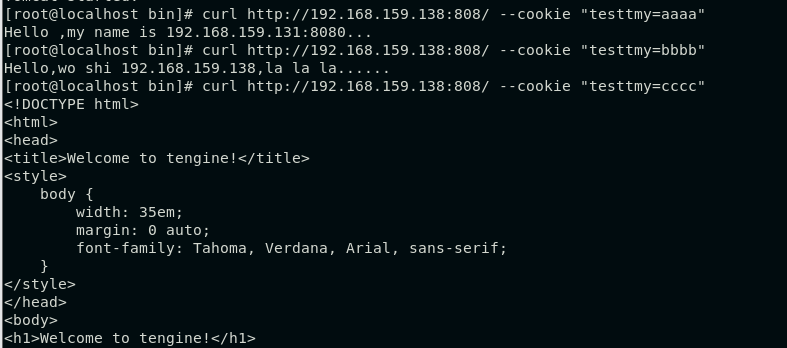 nginx-cookie-pudn